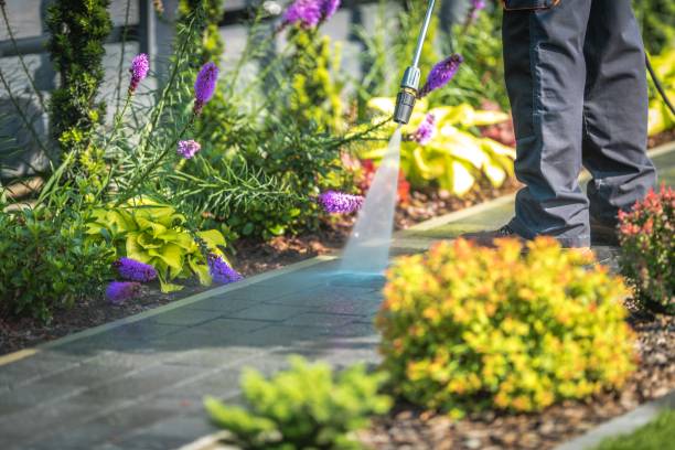 Best Gutter Cleaning  in Woodville, CA